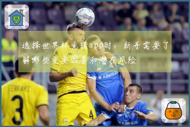 选择世界杯竞猜app时，新手需要了解哪些重要因素和潜在风险