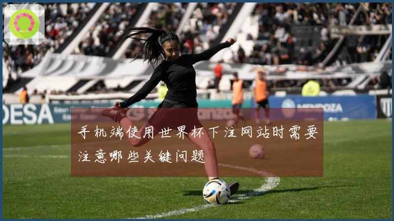 手机端使用世界杯下注网站时需要注意哪些关键问题