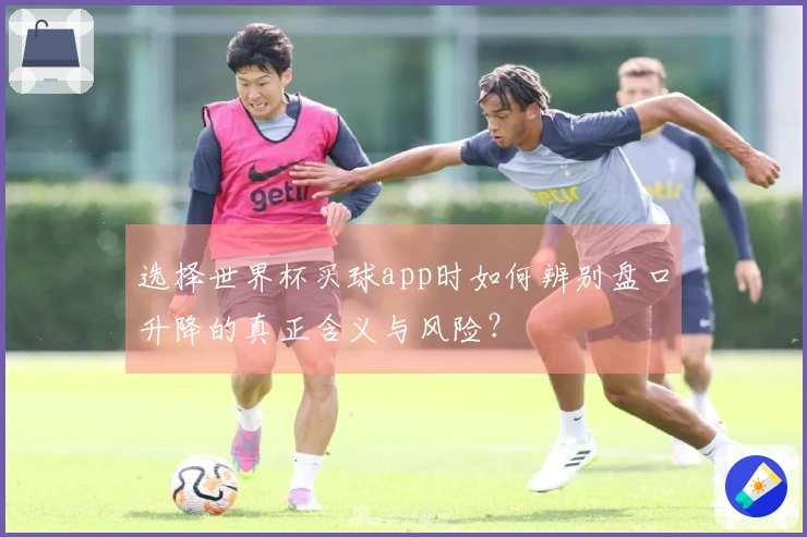 选择世界杯买球app时如何辨别盘口升降的真正含义与风险？