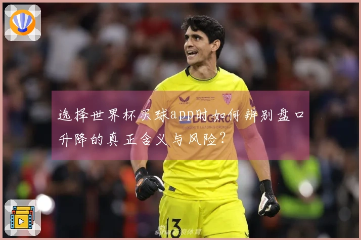 选择世界杯买球app时如何辨别盘口升降的真正含义与风险？