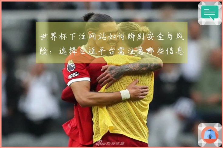世界杯下注网站如何辨别安全与风险，选择合适平台需注意哪些信息