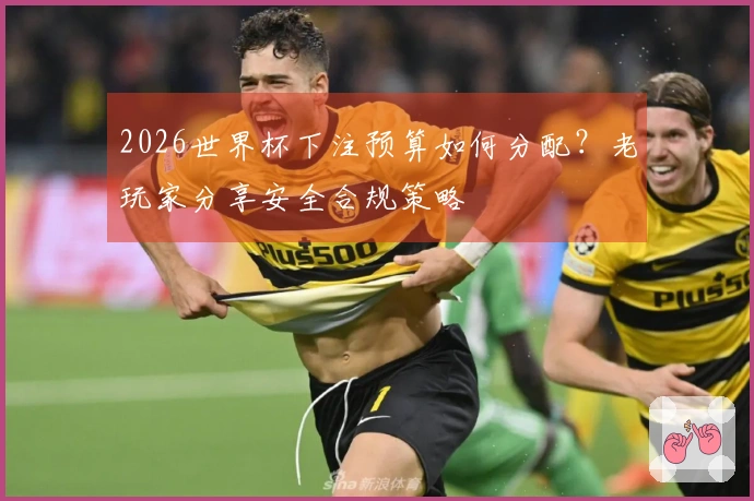 2026世界杯下注预算如何分配？老玩家分享安全合规策略