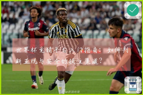 世界杯竞猜平台入门指南：如何判断正规与安全的投注渠道？